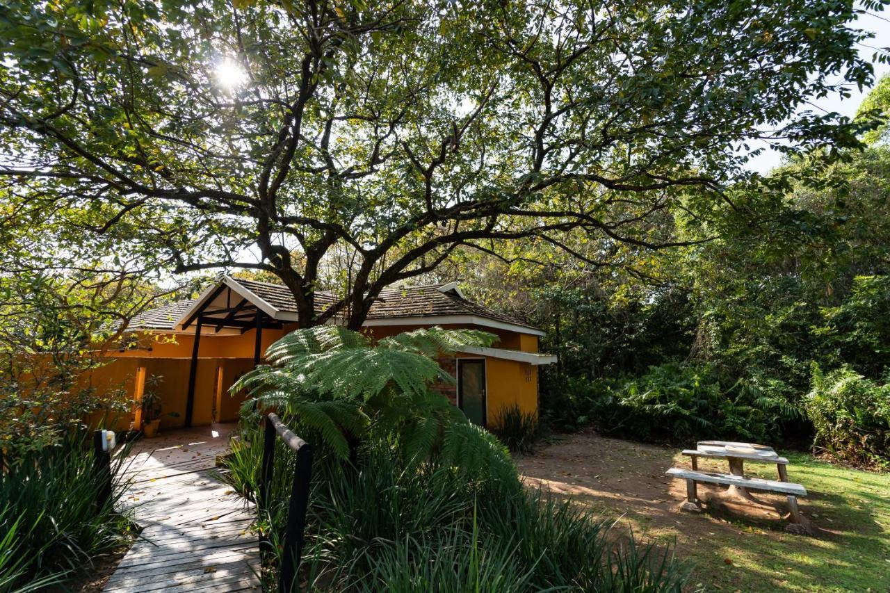 Mtunzini Forest Lodge Self Catering Resort ภายนอก รูปภาพ