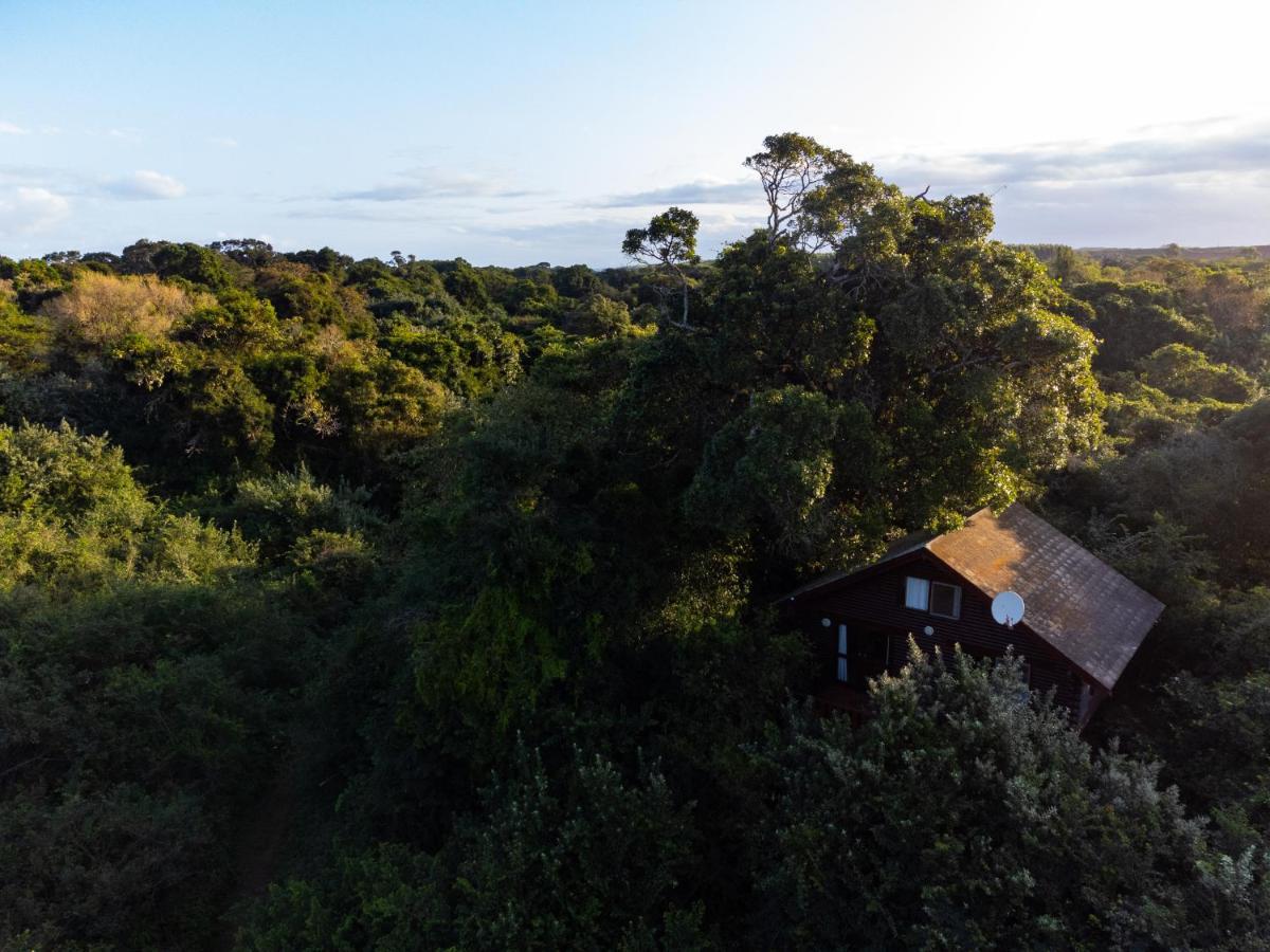 Mtunzini Forest Lodge Self Catering Resort ภายนอก รูปภาพ