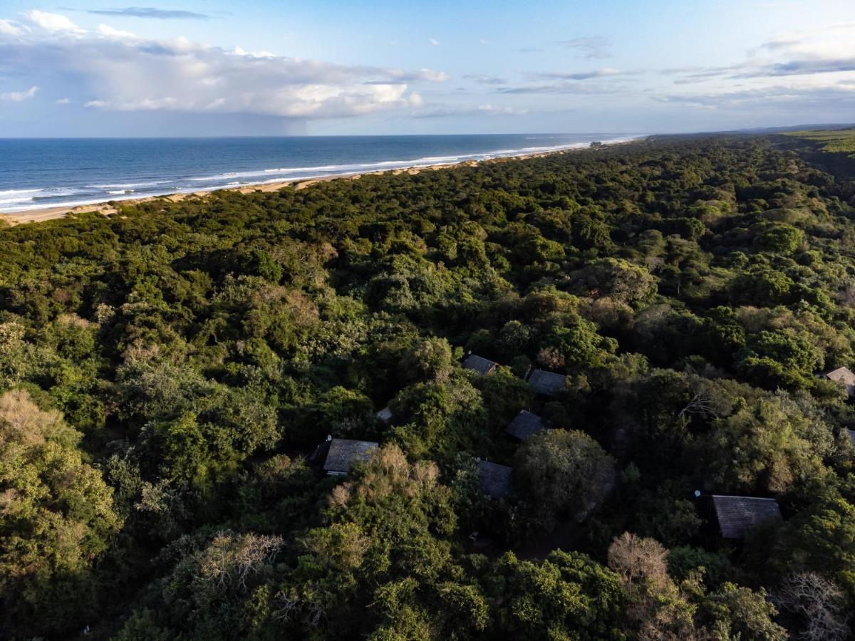 Mtunzini Forest Lodge Self Catering Resort ภายนอก รูปภาพ