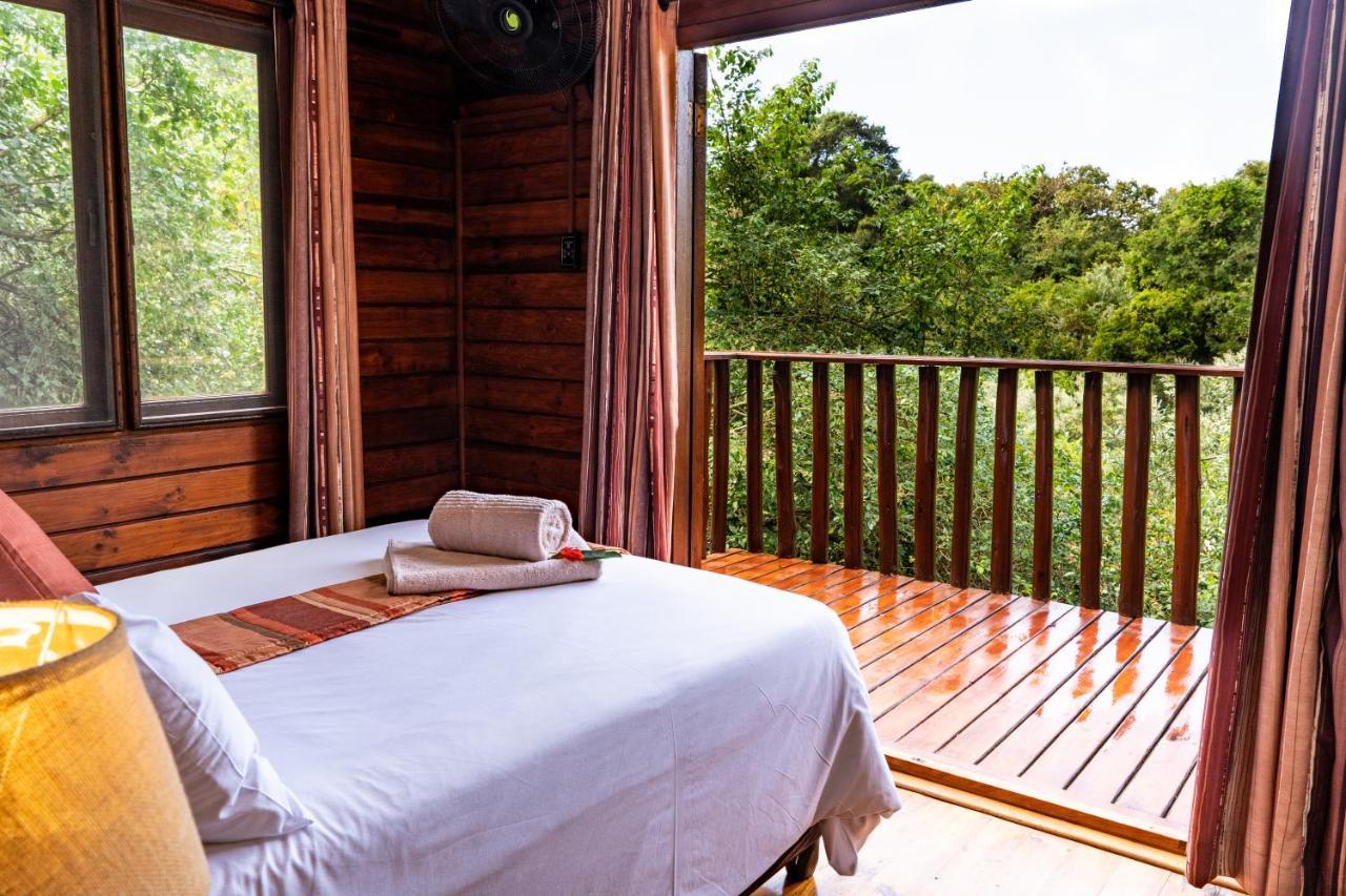 Mtunzini Forest Lodge Self Catering Resort ภายนอก รูปภาพ