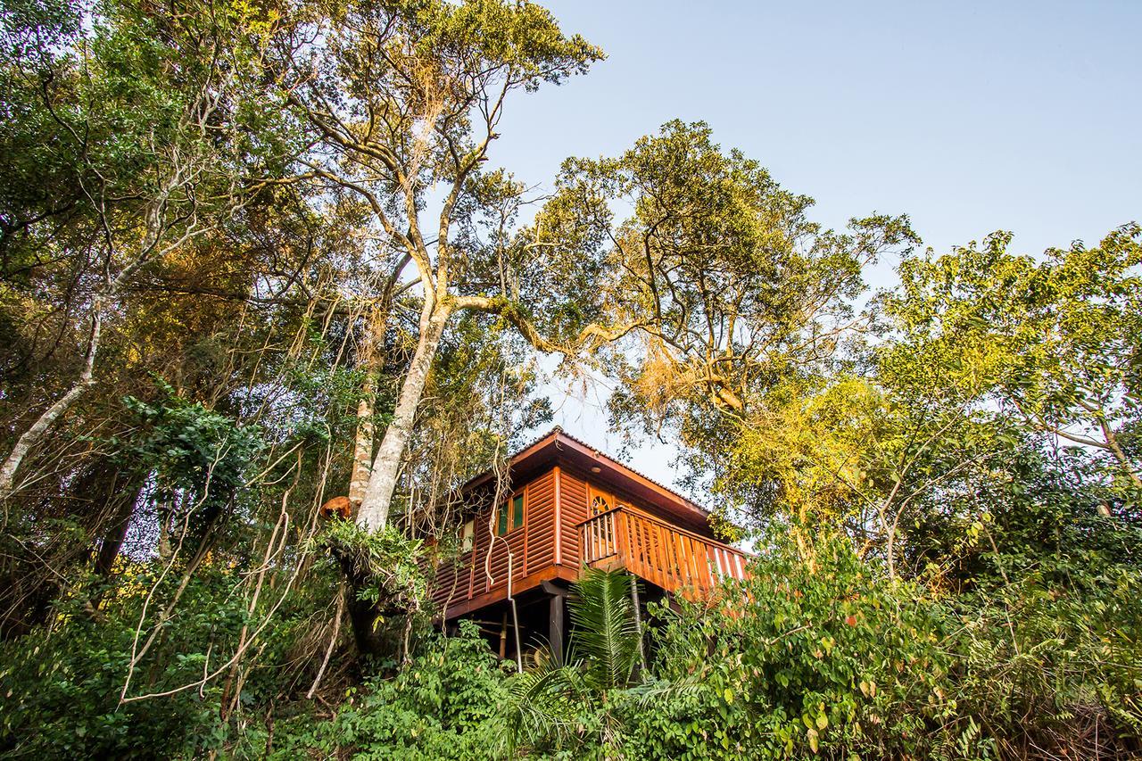 Mtunzini Forest Lodge Self Catering Resort ภายนอก รูปภาพ
